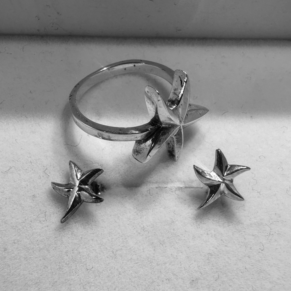 925 Sterling Silver Starfish Jewelry Set